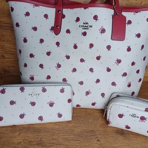 Coach rev Ladybug Print Gallery Tote, Accordian Wallet, Mini Boxy Cosmo Case